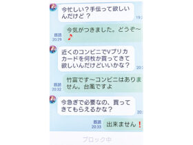 ラインでのやり取り。当初與那國さんは、詐欺と全く気がつかなかった