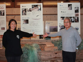 しらほサンゴ村の一般公開が始まった＝１日午前、同施設