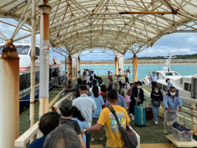 観光客と竹富町民が乗り降りしてにぎわう小浜港。町民には船賃の負担軽減事業が適用されている＝17日